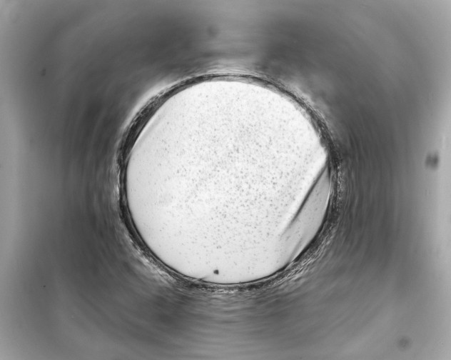 X0000098221408200805221638