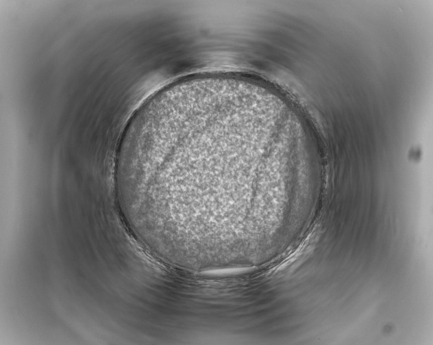 X0000098221409200805221638