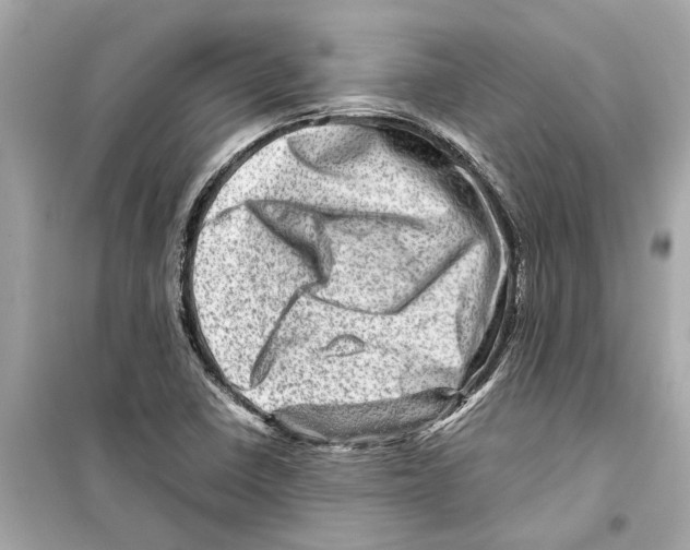 X0000098221410200805221638