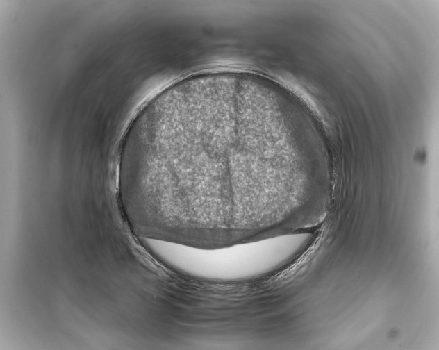 X0000098221413200805221639