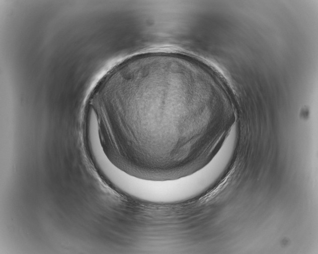 X0000098221414200805221639