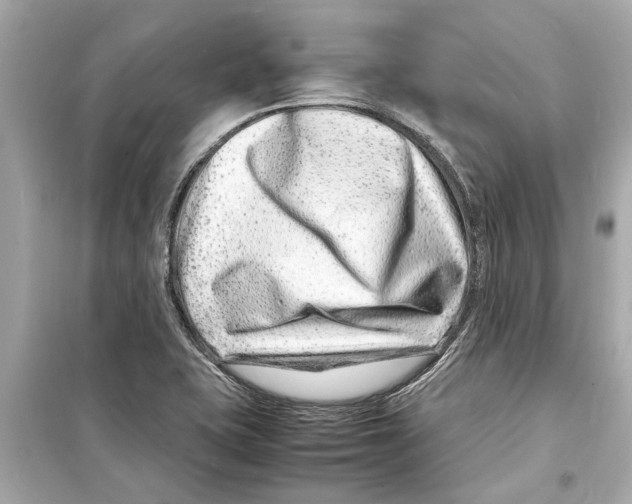 X0000098221415200805221639