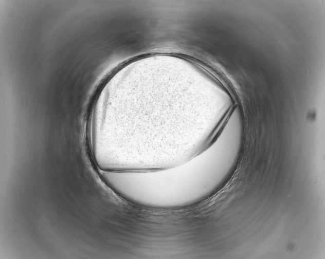 X0000098221416200805221639