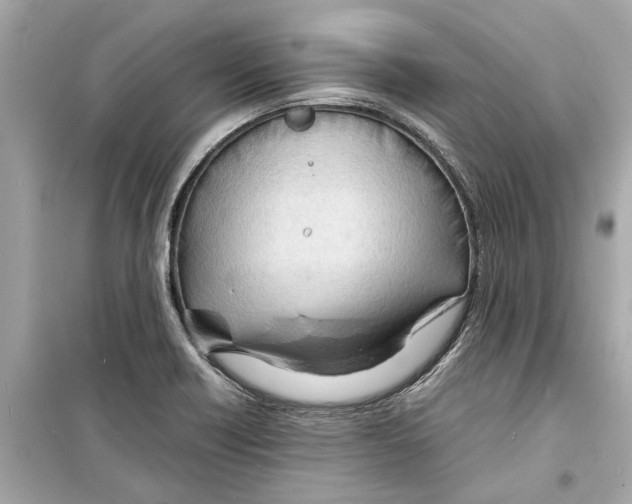 X0000098221418200805221639