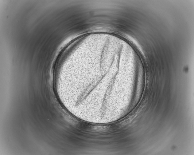 X0000098221419200805221639