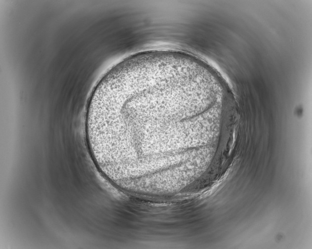 X0000098221421200805221639