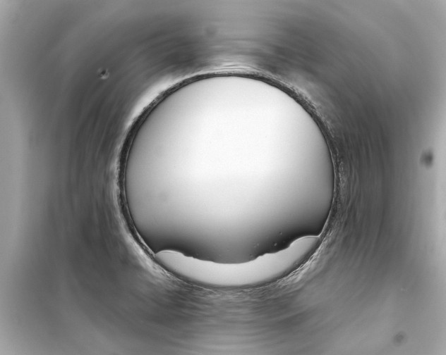 X0000098221422200805221639