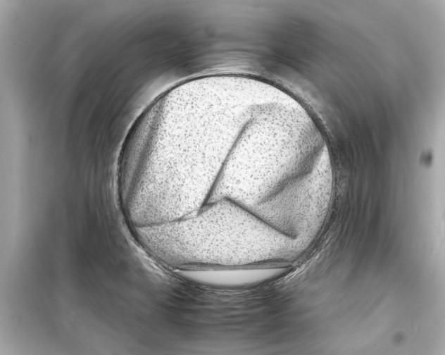 X0000098221423200805221639