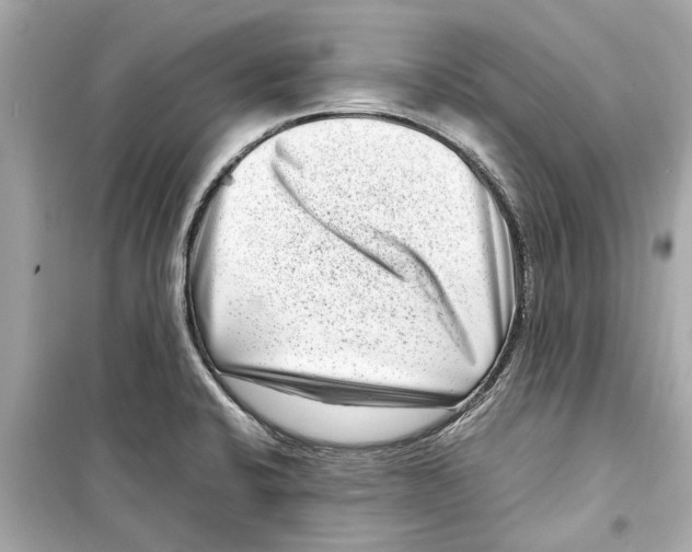 X0000098221424200805221639