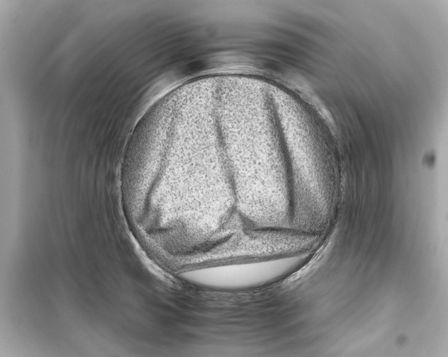 X0000098221425200805221639