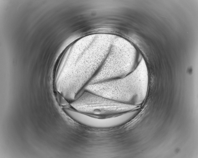 X0000098221426200805221639