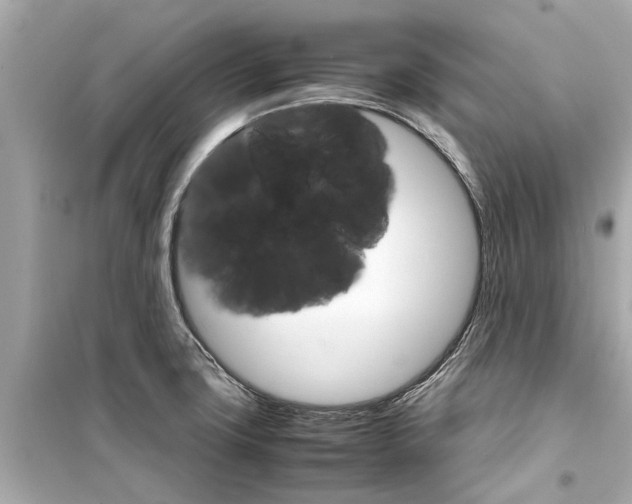 X0000098221427200805221639