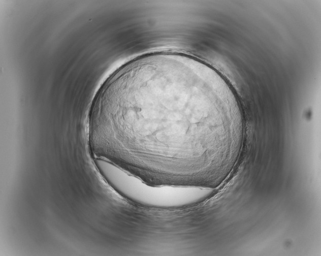 X0000098221428200805221639