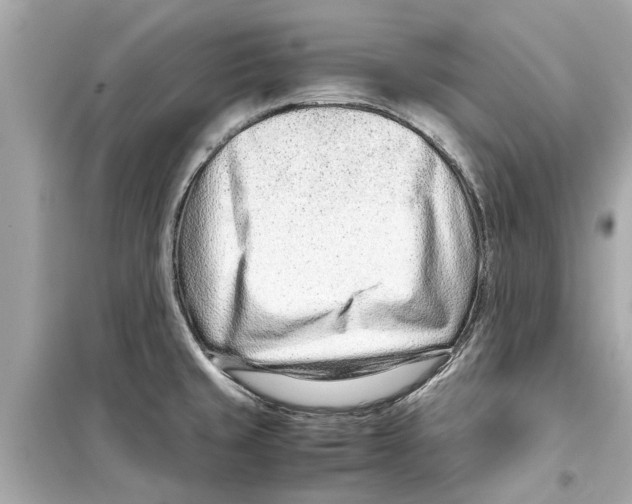 X0000098221429200805221639