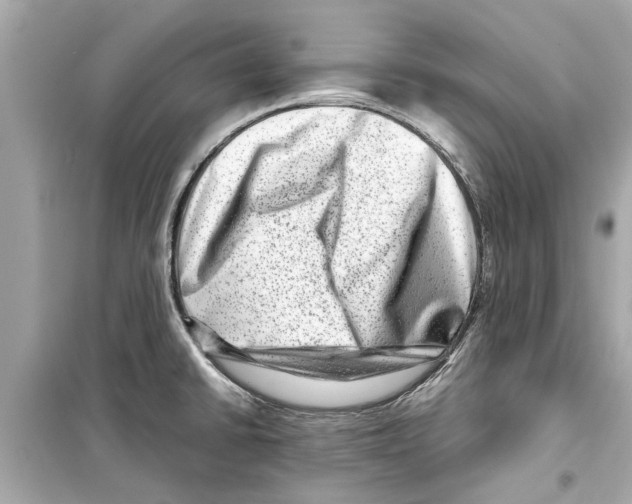 X0000098221430200805221639