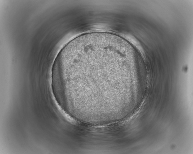 X0000098221431200805221639