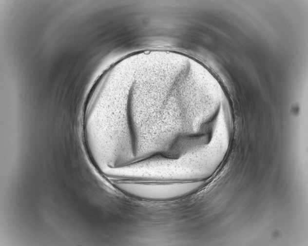 X0000098221432200805221639