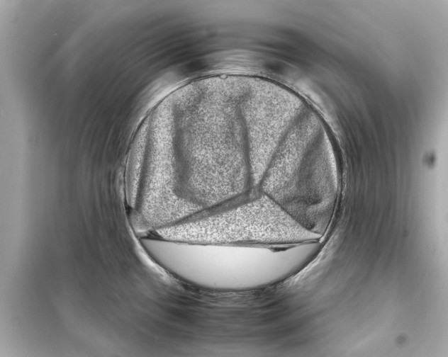 X0000098221433200805221639