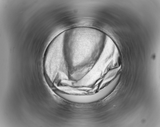 X0000098221434200805221639