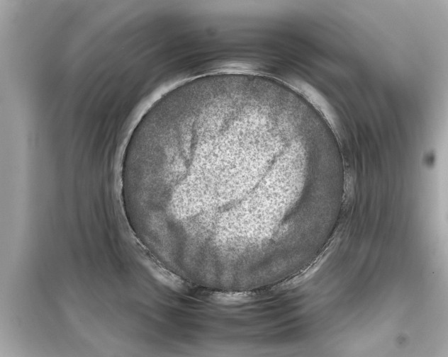 X0000098221435200805221639