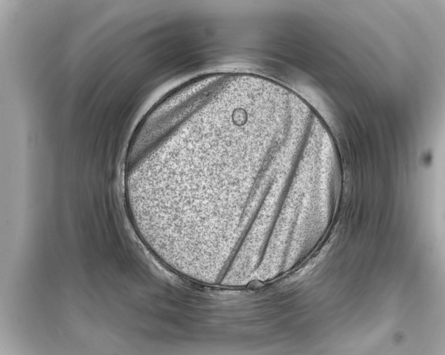 X0000098221436200805221639