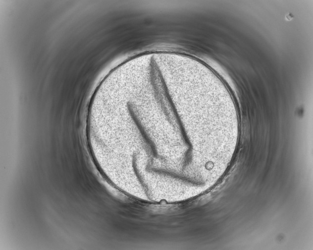 X0000098221437200805221639