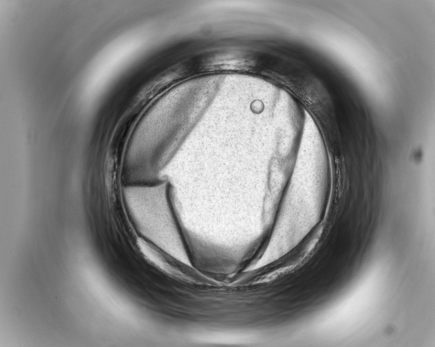 X0000098221438200805221639