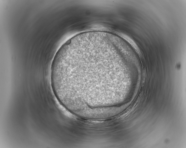 X0000098221439200805221639