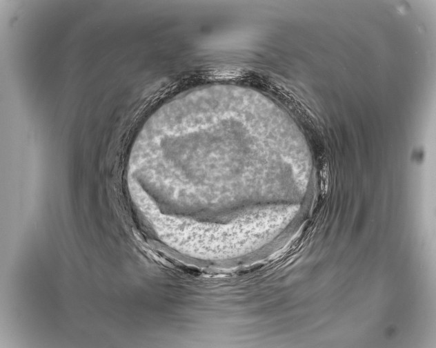 X0000098221441200805221638