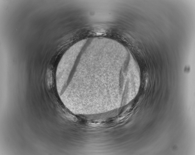 X0000098221442200805221638