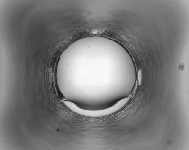 X0000098221443200805221638