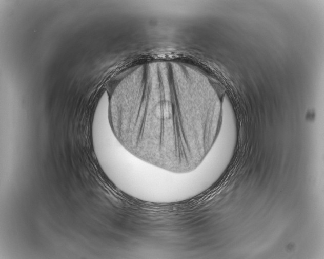 X0000098221444200805221638