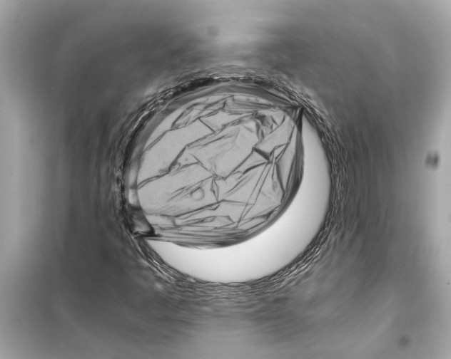 X0000098221445200805221638