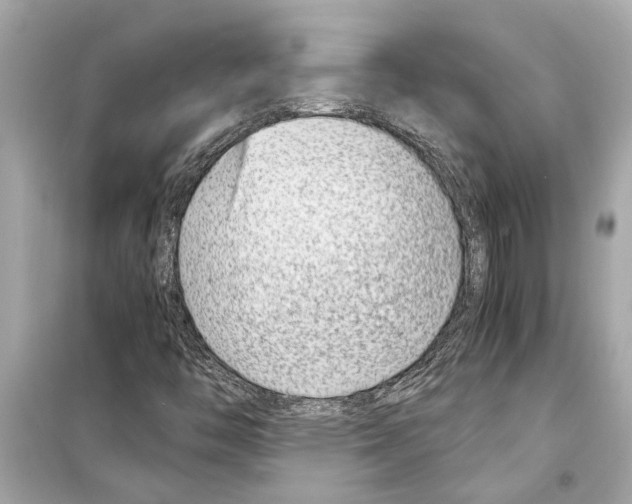 X0000098221446200805221638