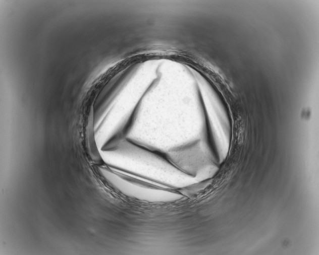 X0000098221448200805221638