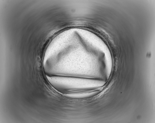 X0000098221449200805221638