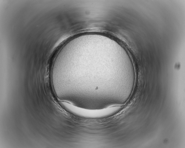 X0000098221450200805221638