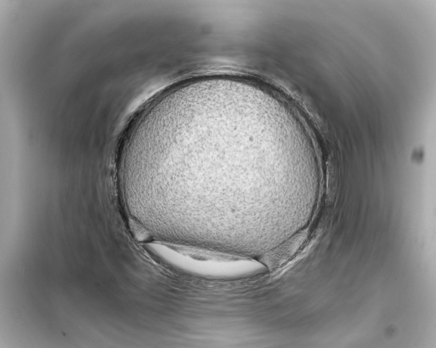 X0000098221453200805221638