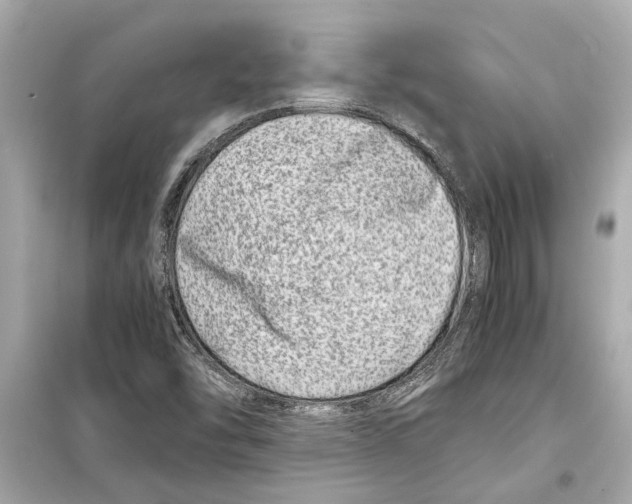 X0000098221454200805221638