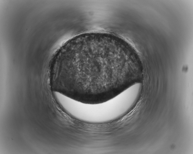 X0000098221455200805221638