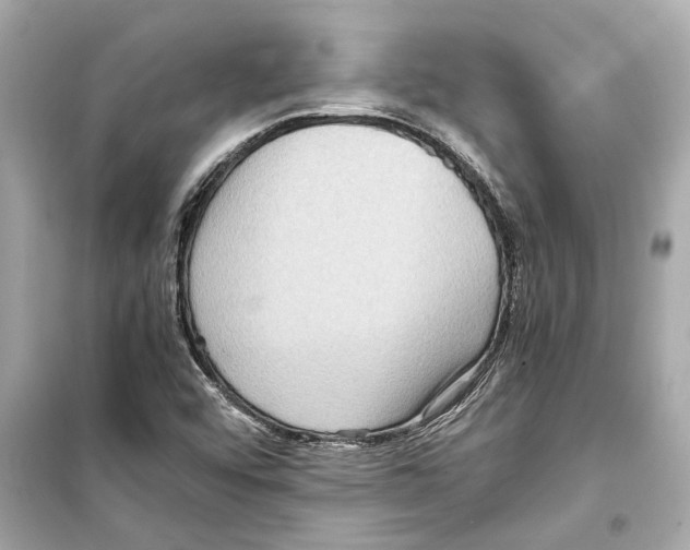 X0000098221456200805221638