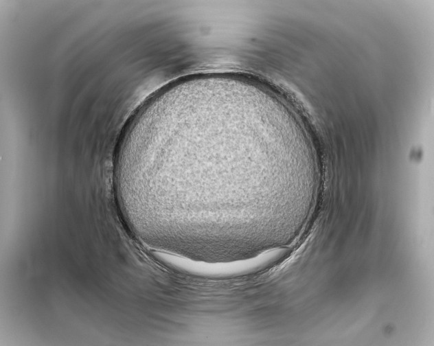 X0000098221457200805221638