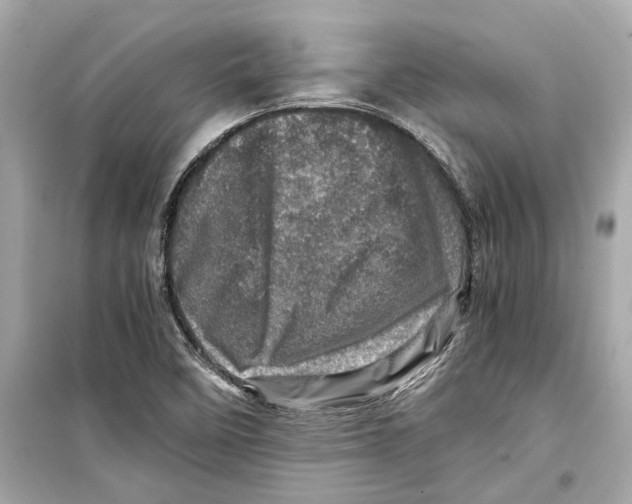 X0000098221458200805221638