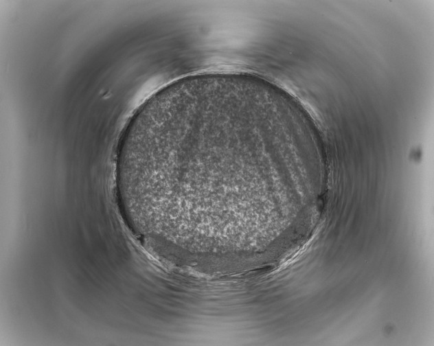 X0000098221459200805221638