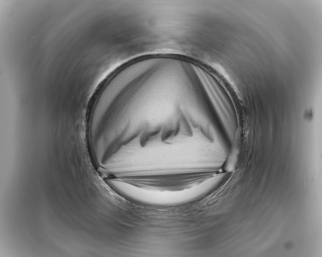 X0000098221460200805221638