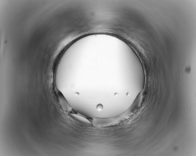 X0000098221461200805221638