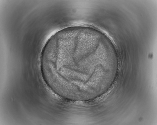 X0000098221463200805221638