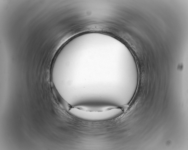 X0000098221465200805221638