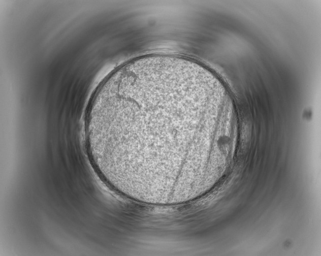 X0000098221466200805221638