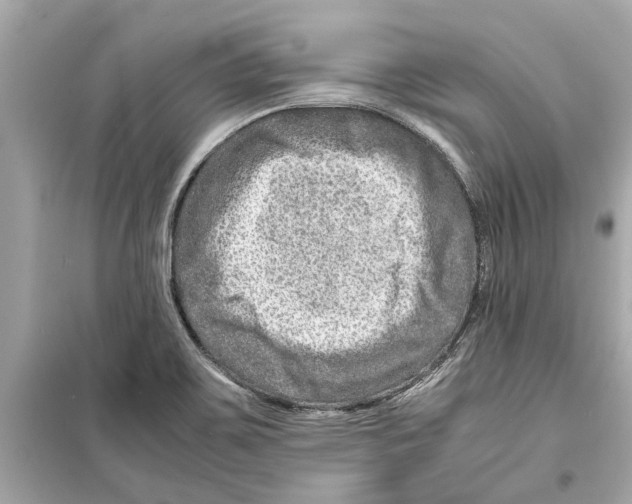 X0000098221467200805221638